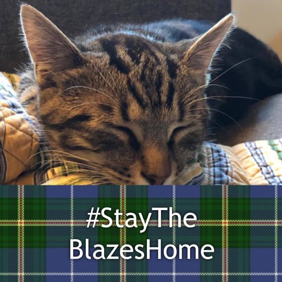 Meet your Posher, June - Picture 1 of 1